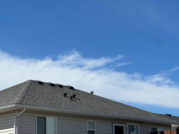 Best Roof Leak Repair  in Weldon, NC